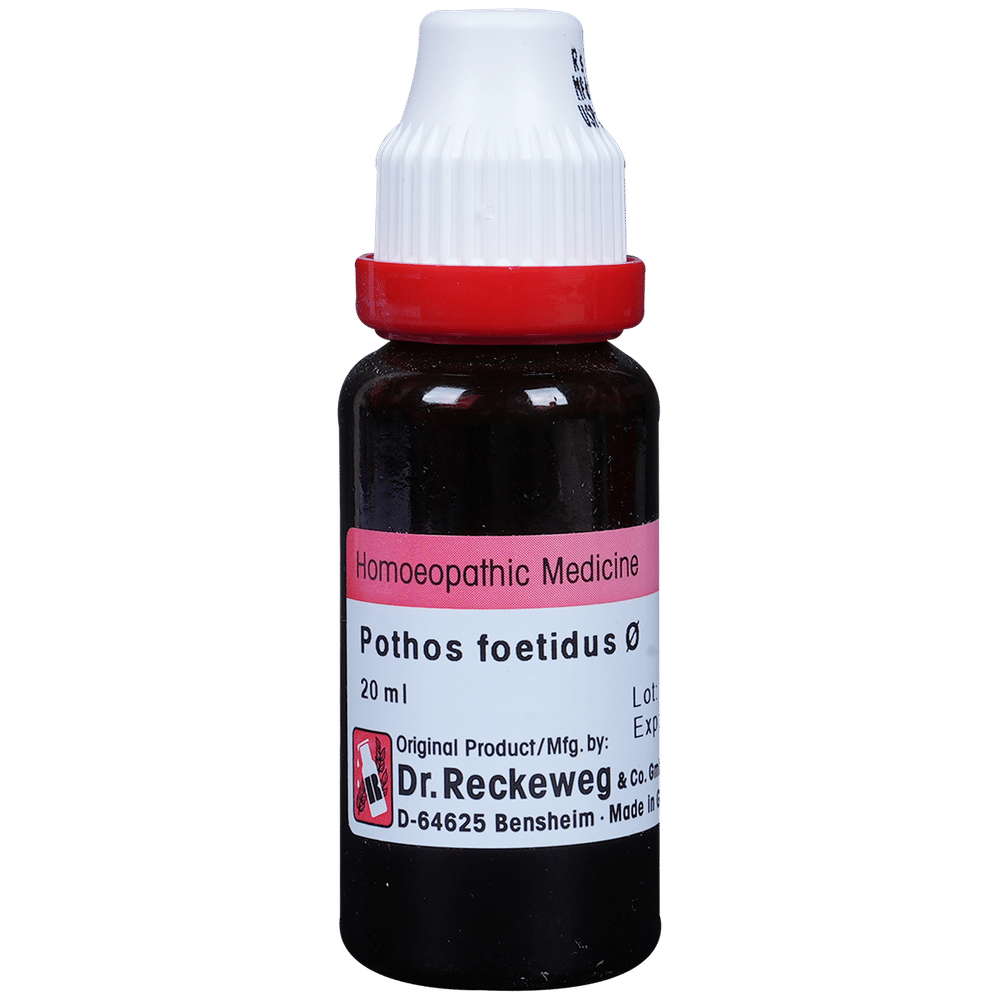 Dr. Reckeweg Pothos Foetida Mother Tincture Q bottle of 20 ml Mother Tincture