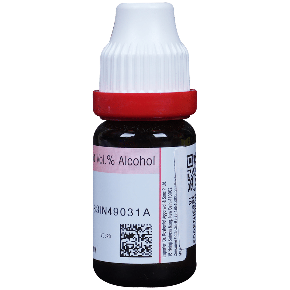 Dr. Reckeweg Graphites Dilution 200 CH bottle of 11 ml Dilution