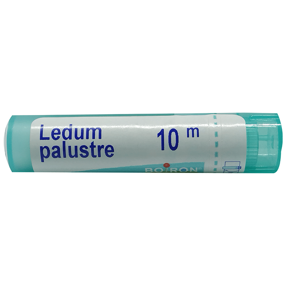 Boiron Ledum Palustre Pellets 10M bottle of 80 pellets