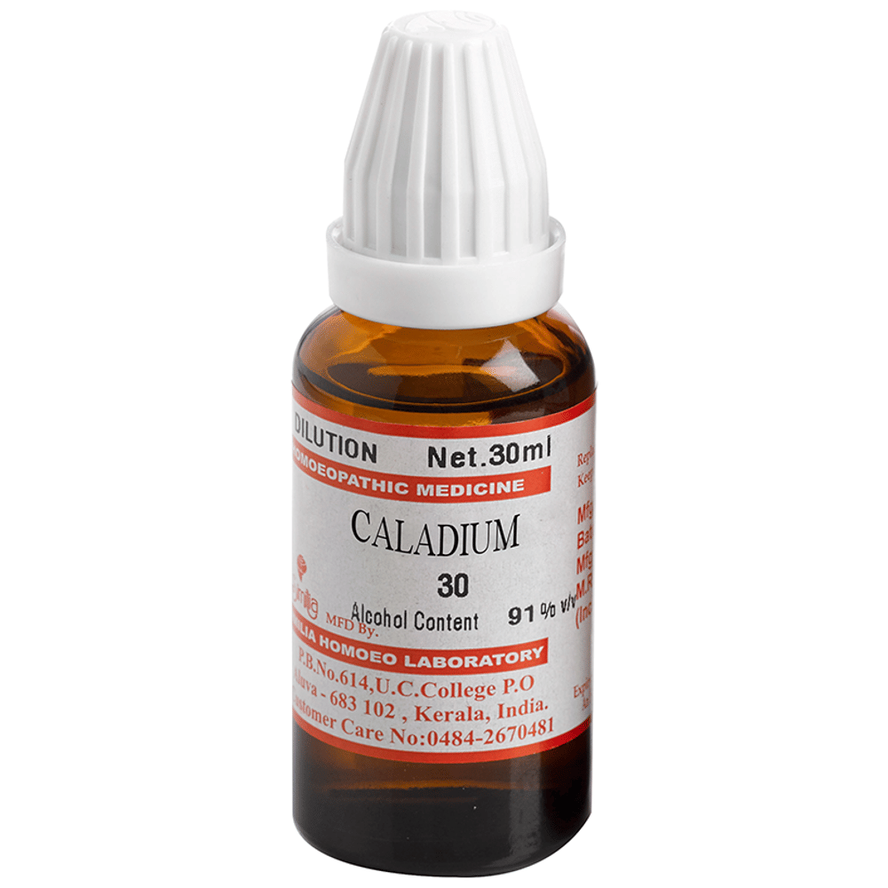 Similia Caladium Dilution 30 bottle of 30 ml Dilution