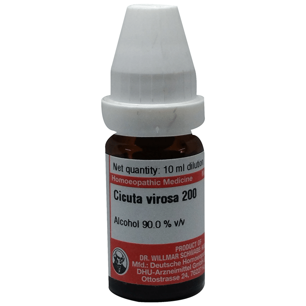 Dr Willmar Schwabe Germany Cicuta Virosa Dilution 200 bottle of 10 ml Dilution