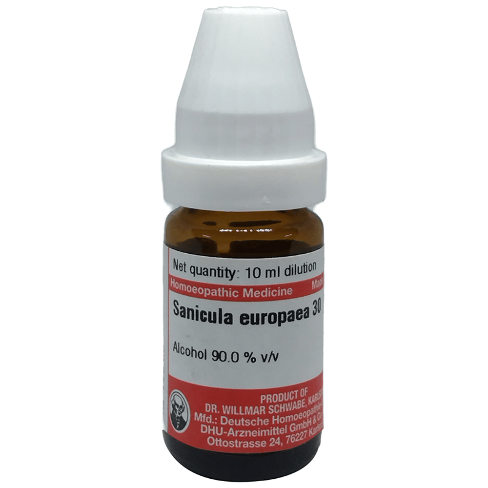 Dr Willmar Schwabe Germany Sanicula Europaea Dilution 30 bottle of 10 ml Dilution