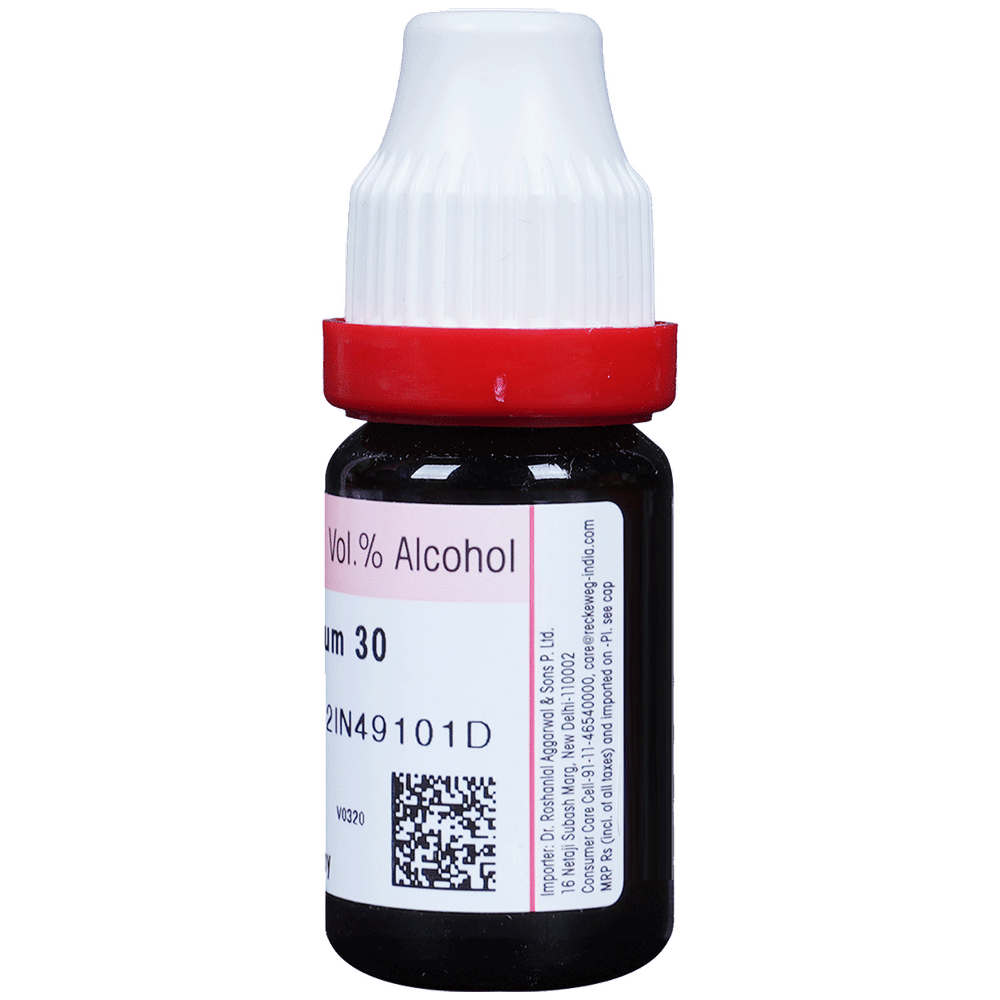 Dr. Reckeweg Rhododendron Dilution 30 CH bottle of 11 ml Dilution Dr. Reckeweg Rhododendron Dilution 30 CH bottle of 11 ml Dilution