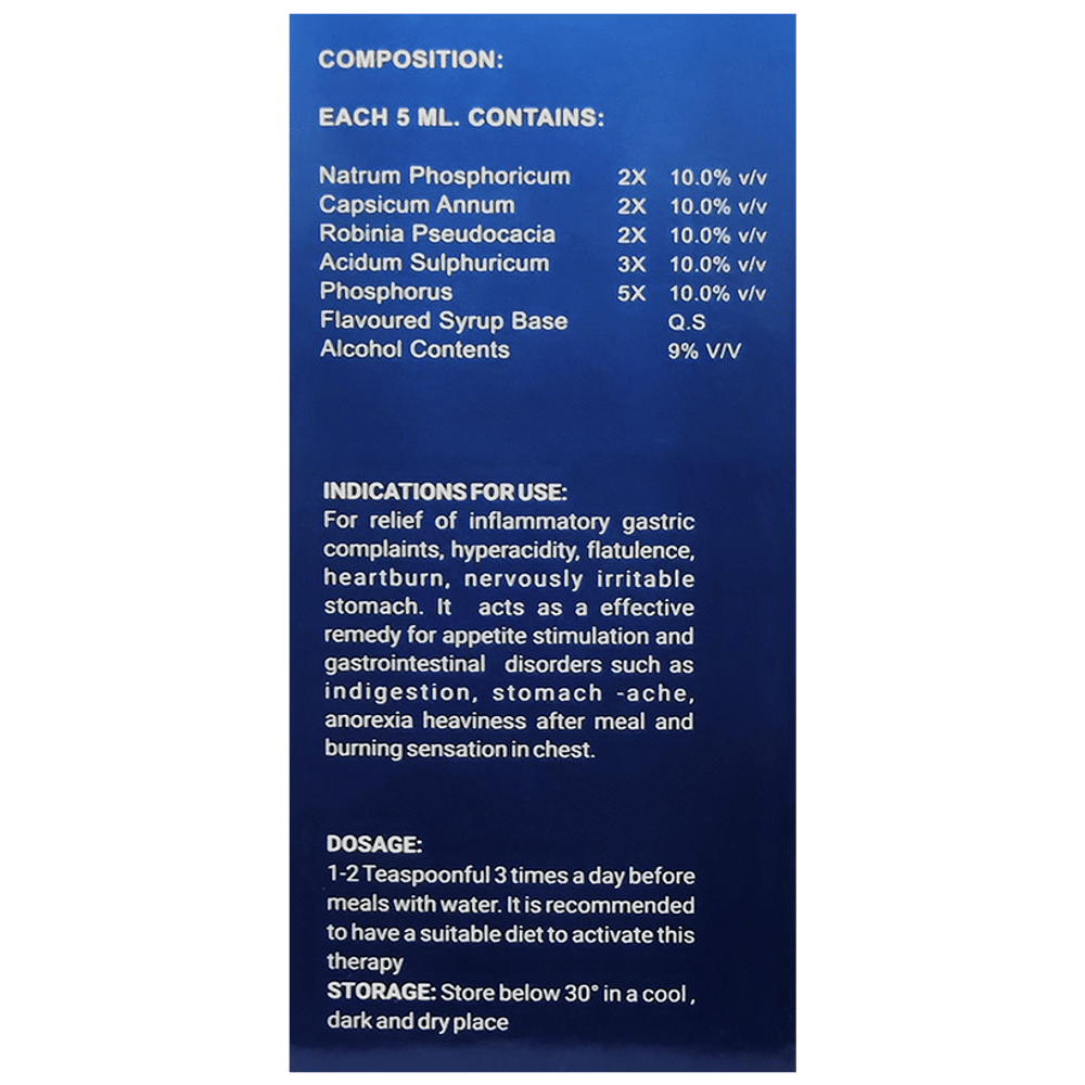 LDD Bioscience Gastromin Syrup bottle of 450 ml Syrup LDD Bioscience Gastromin Syrup bottle of 450 ml Syrup