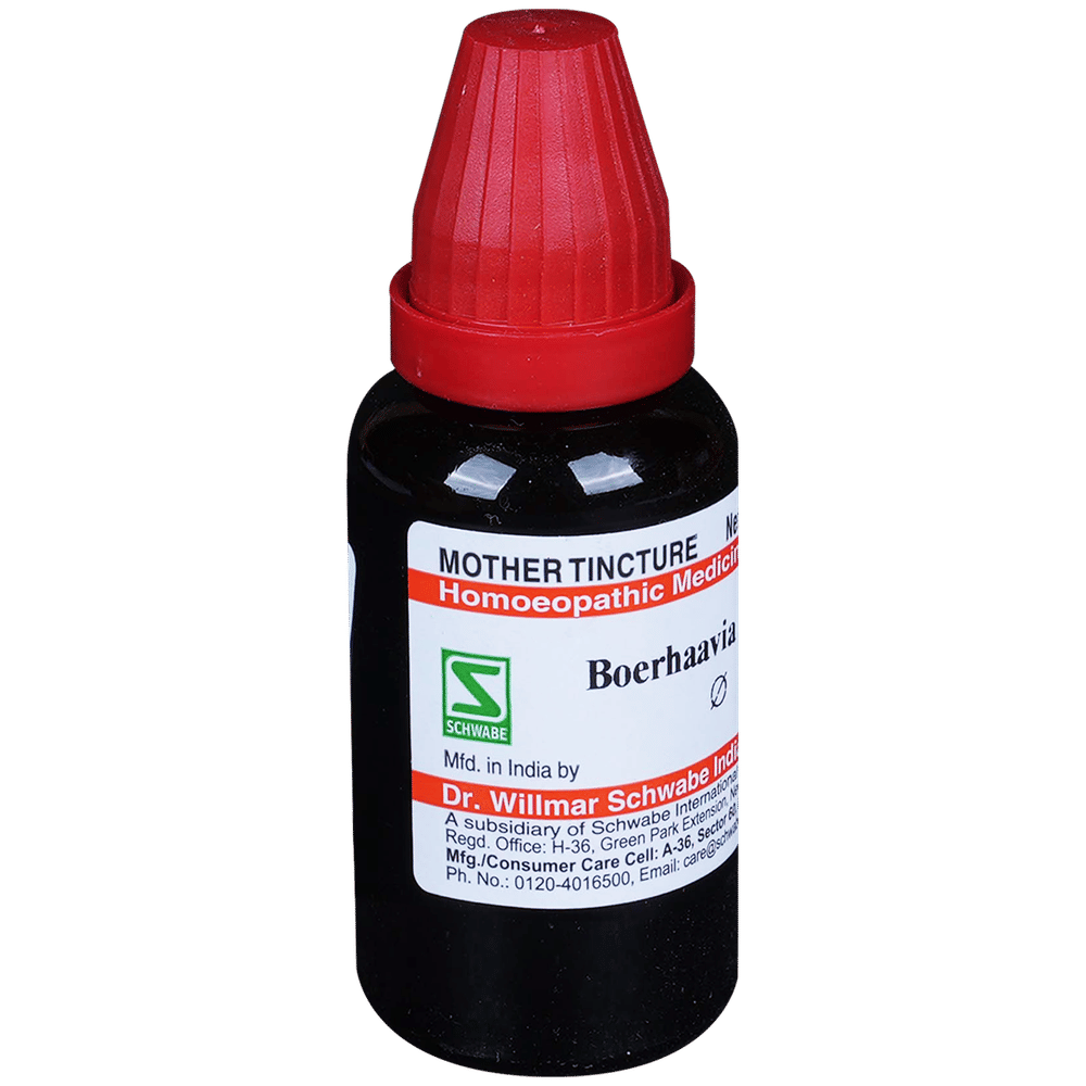 Dr Willmar Schwabe India Boerhaavia Diffusa Mother Tincture Q bottle of 30 ml Mother Tincture