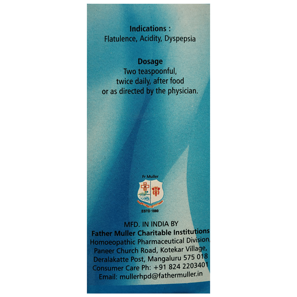 Fr Muller Gastrolex Syrup bottle of 450 ml Syrup