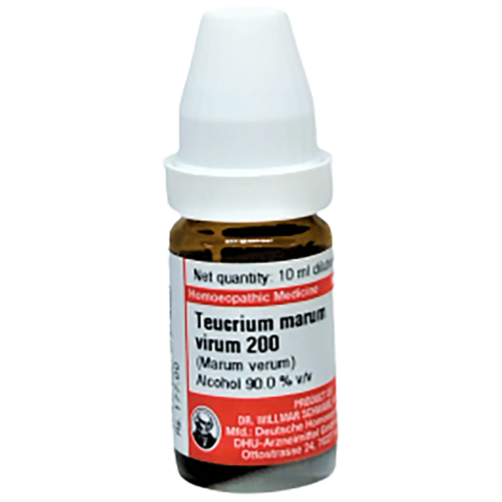 Dr Willmar Schwabe Germany Teucrium marum Virum Dilution 200 bottle of 10 ml Dilution