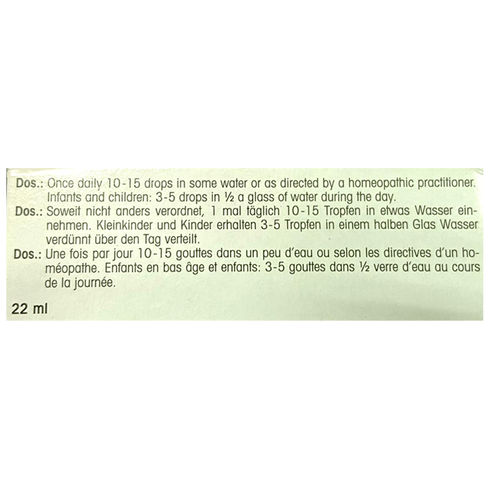 Dr. Reckeweg R33 Epilepsy Drop bottle of 22 ml Drop Dr. Reckeweg R33 Epilepsy Drop bottle of 22 ml Drop