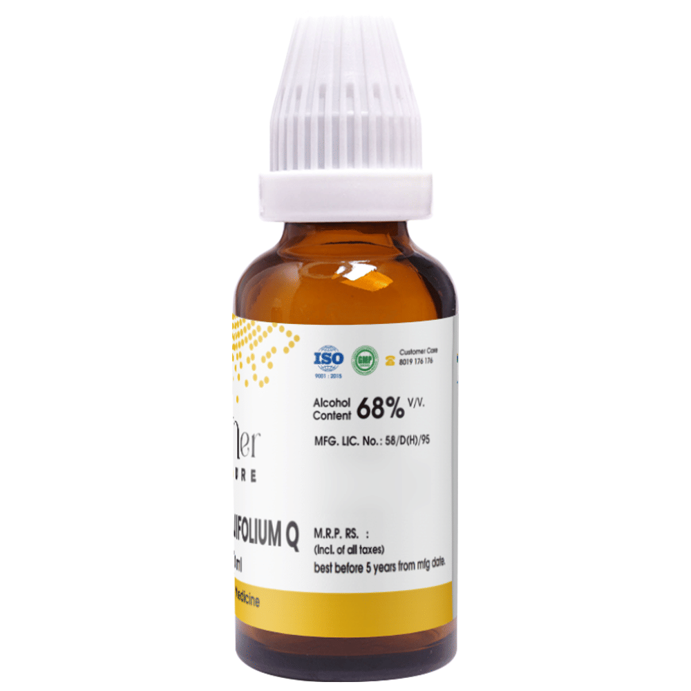 Pioneer Pharma Berberis Aquifolium Q Mother Tincture bottle of 30 ml Mother Tincture