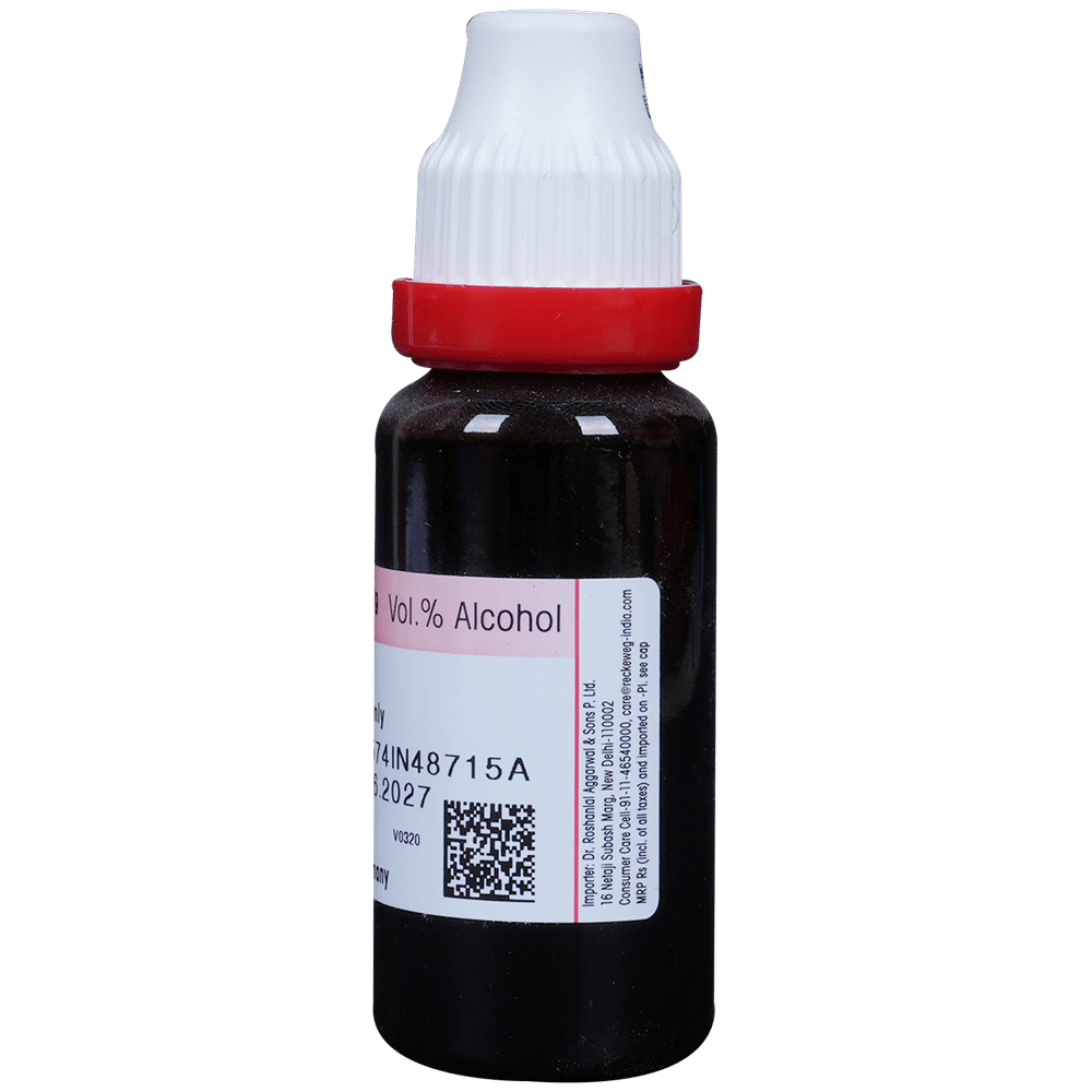 Dr. Reckeweg Rhus Tox Mother Tincture Q bottle of 20 ml Mother Tincture Dr. Reckeweg Rhus Tox Mother Tincture Q bottle of 20 ml Mother Tincture