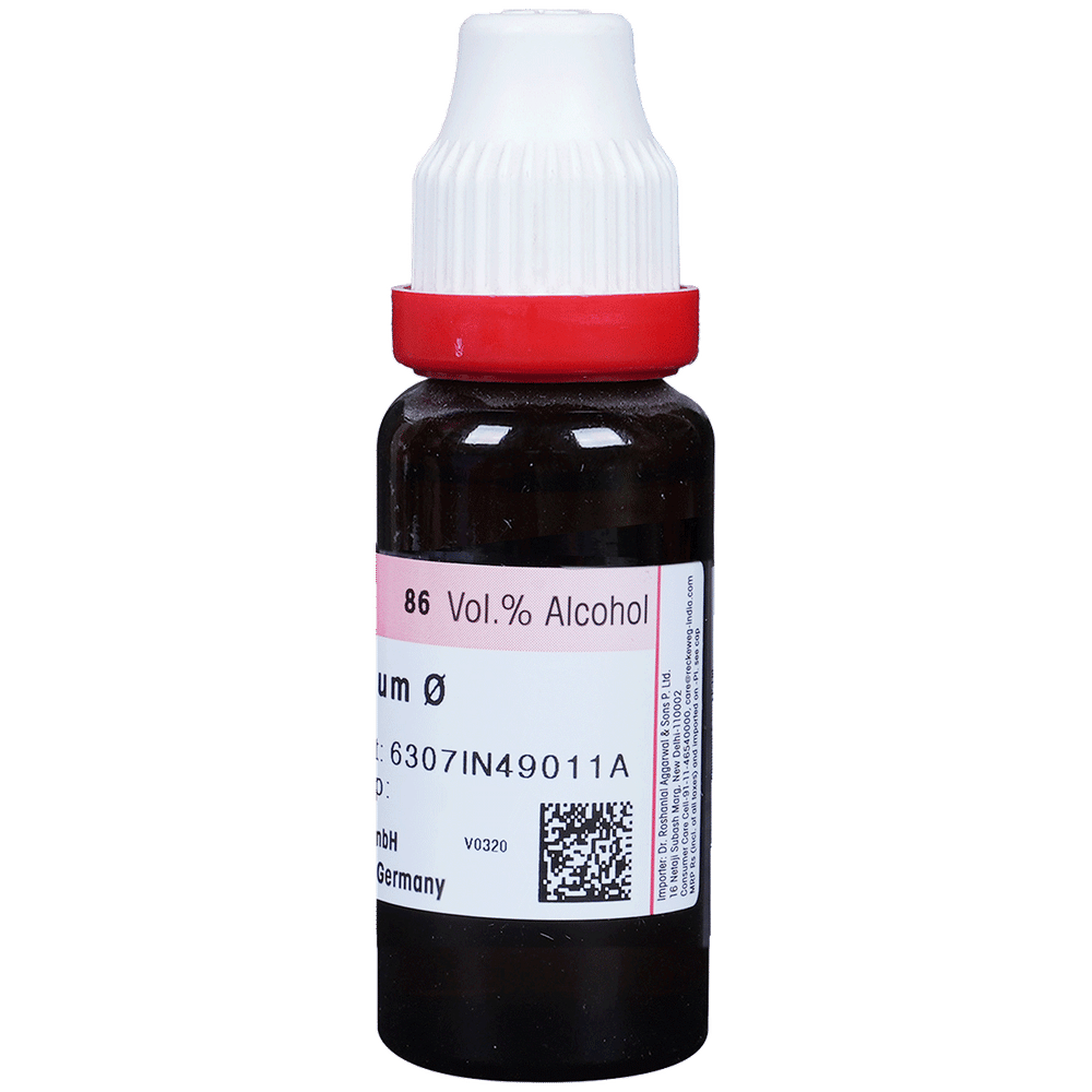 Dr. Reckeweg Syzygium Jamb Mother Tincture Q bottle of 20 ml Mother Tincture Dr. Reckeweg Syzygium Jamb Mother Tincture Q bottle of 20 ml Mother Tincture