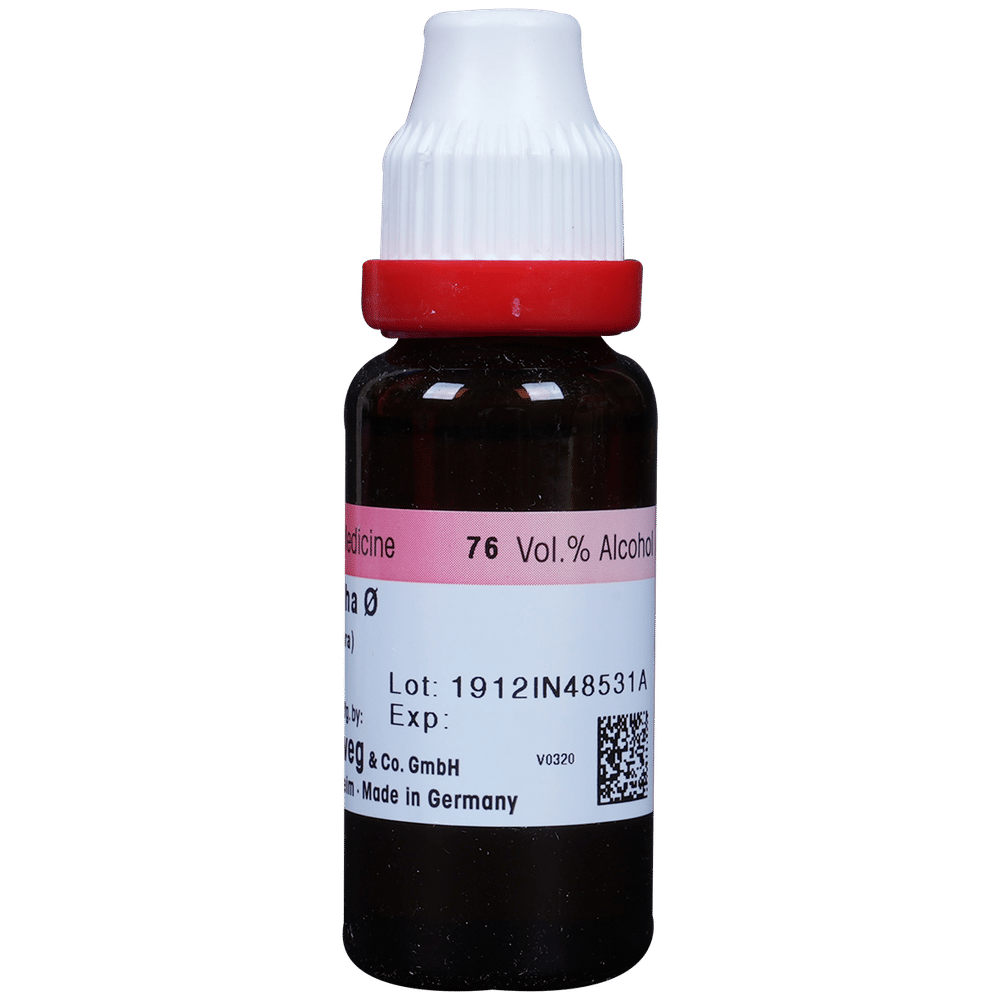 Dr. Reckeweg Ashwagandha Mother Tincture Q bottle of 20 ml Mother Tincture