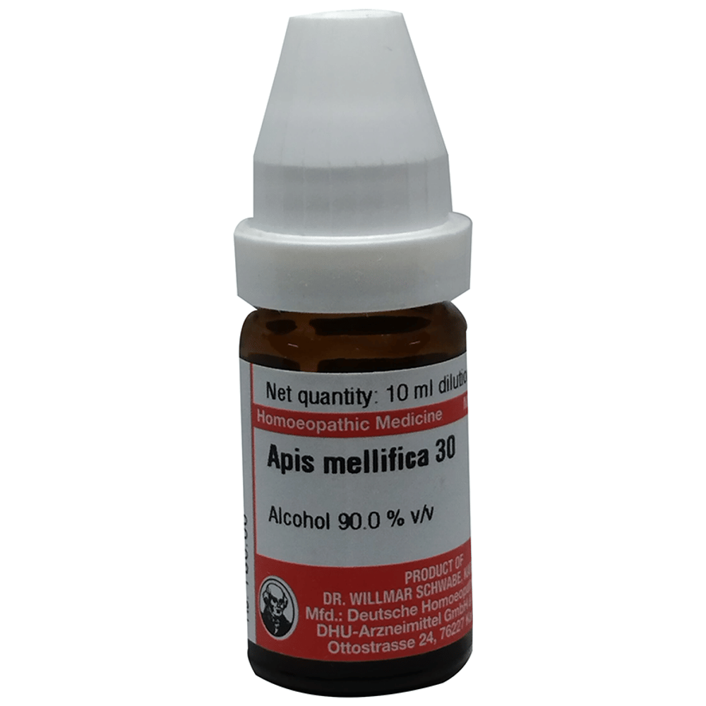 Dr Willmar Schwabe Germany Apis mellifica Dilution 30 bottle of 10 ml Dilution