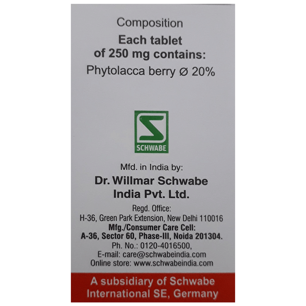 Dr Willmar Schwabe India Phytolacca Berry Tablet box of 20 gm Tablet Dr Willmar Schwabe India Phytolacca Berry Tablet box of 20 gm Tablet