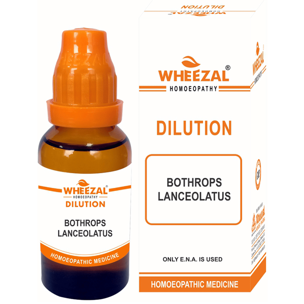 Wheezal Bothrops Lanceolatus Dilution 30 CH bottle of 30 ml Dilution Wheezal Bothrops Lanceolatus Dilution 30 CH bottle of 30 ml Dilution
