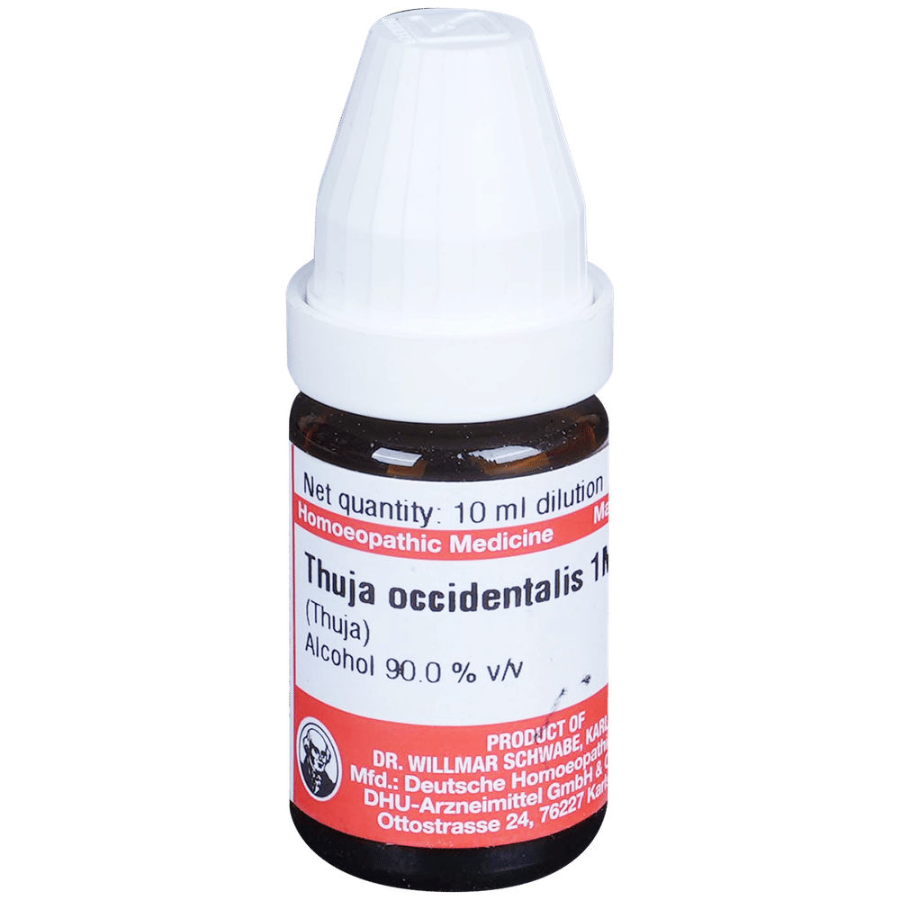 Dr Willmar Schwabe Germany Thuja Occidentalis Dilution 1M bottle of 10 ml Dilution Dr Willmar Schwabe Germany Thuja Occidentalis Dilution 1M bottle of 10 ml Dilution