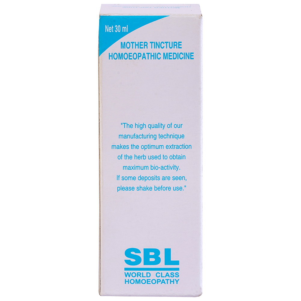 SBL Cardiospermum Helicacabum Mother Tincture Q bottle of 30 ml Mother Tincture SBL Cardiospermum Helicacabum Mother Tincture Q bottle of 30 ml Mother Tincture