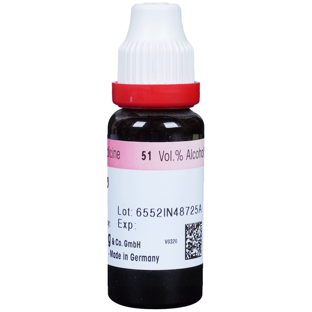 Dr. Reckeweg Urtica Urens Mother Tincture Q bottle of 20 ml Mother Tincture Dr. Reckeweg Urtica Urens Mother Tincture Q bottle of 20 ml Mother Tincture