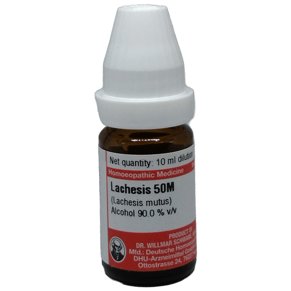 Dr Willmar Schwabe Germany Lachesis Mutus Dilution 50M bottle of 10 ml Dilution