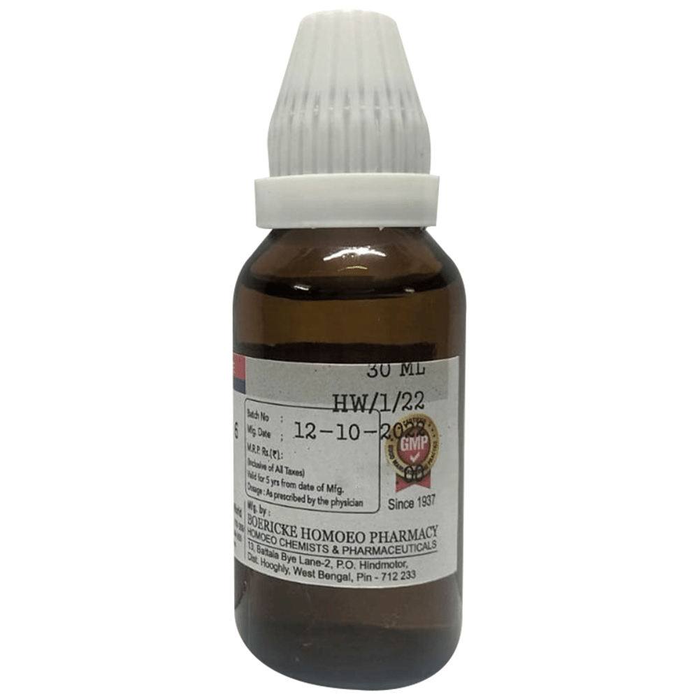 Dr. Majumder Homeo World Arnica Montana Dilution 6 (30ml Each) box of 1 Bottle Dr. Majumder Homeo World Arnica Montana Dilution 6 (30ml Each) box of 1 Bottle