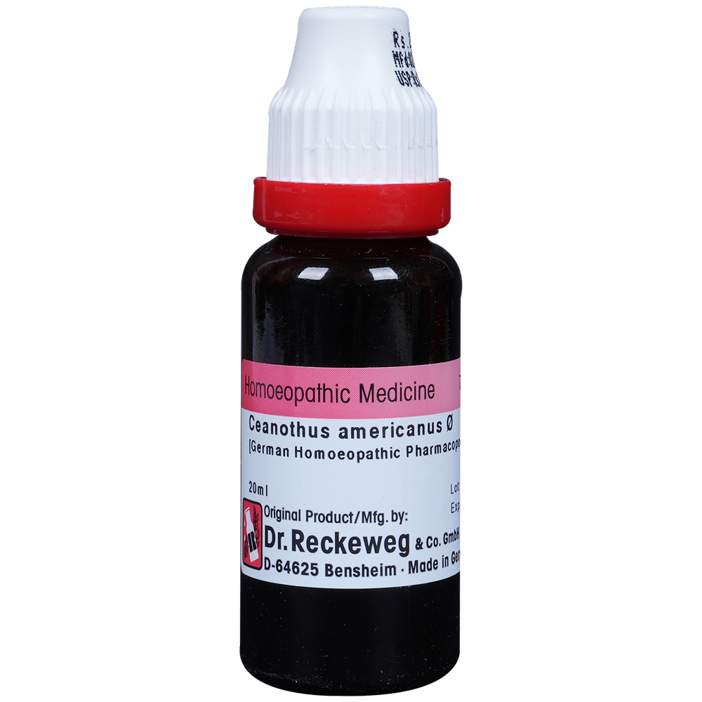 Dr. Reckeweg Ceanothus A Mother Tincture Q bottle of 20 ml Mother Tincture