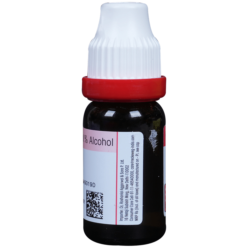 Dr. Reckeweg Cantharis Dilution 200 CH bottle of 11 ml Dilution Dr. Reckeweg Cantharis Dilution 200 CH bottle of 11 ml Dilution