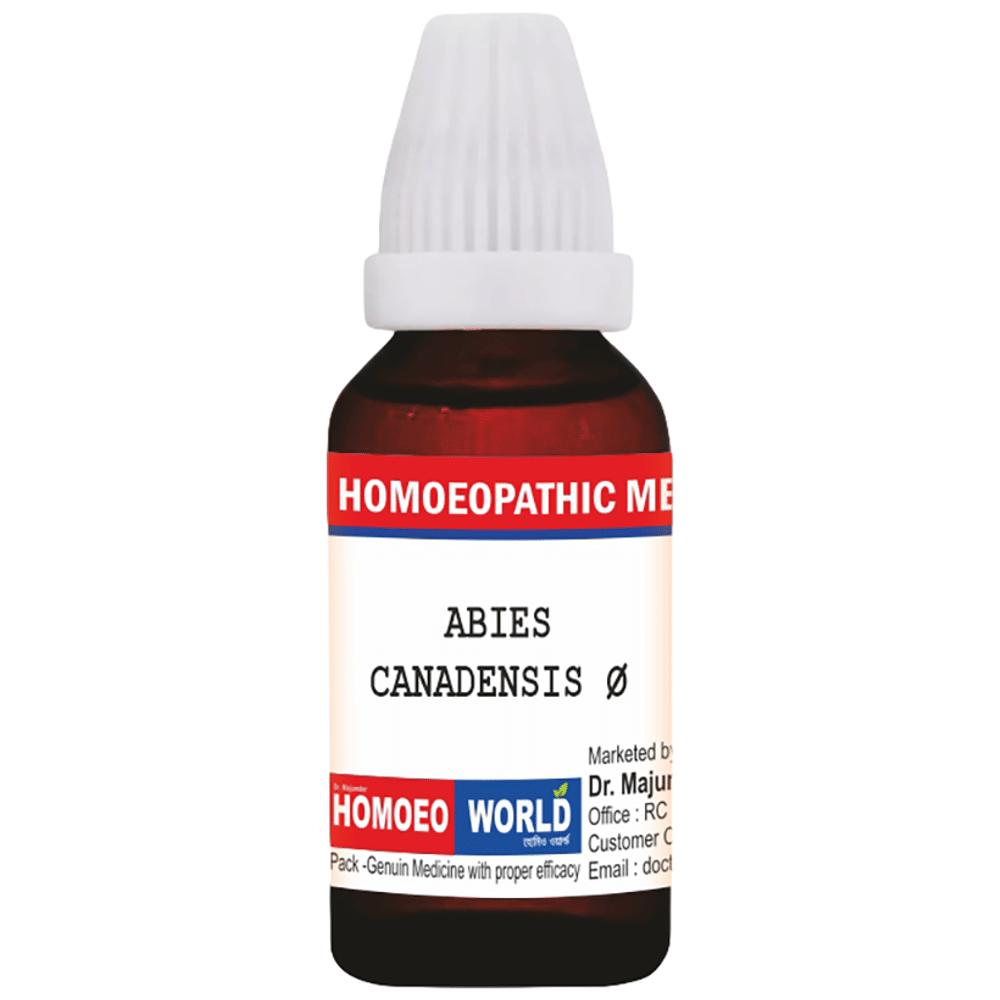 Dr. Majumder Homeo World Abies Canadensis Q Mother Tincture bottle of 180 ml Mother Tincture