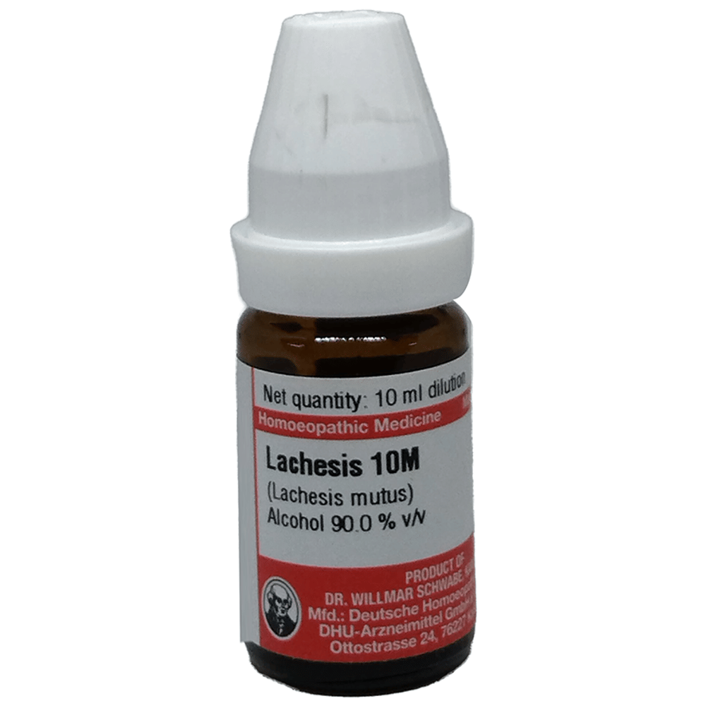 Dr Willmar Schwabe Germany Lachesis Mutus Dilution 10M bottle of 10 ml Dilution