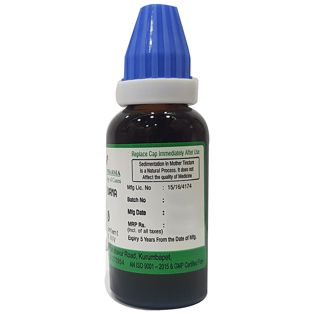 Hering Pharma Muira Puama Mother Tincture Q bottle of 30 ml Mother Tincture