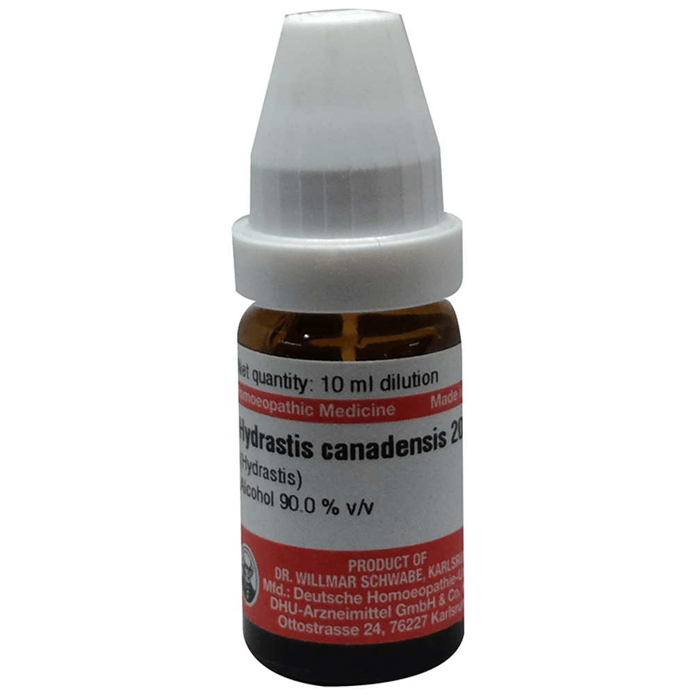 Dr Willmar Schwabe Germany Hydrastis Canadensis Dilution 200 bottle of 10 ml Dilution