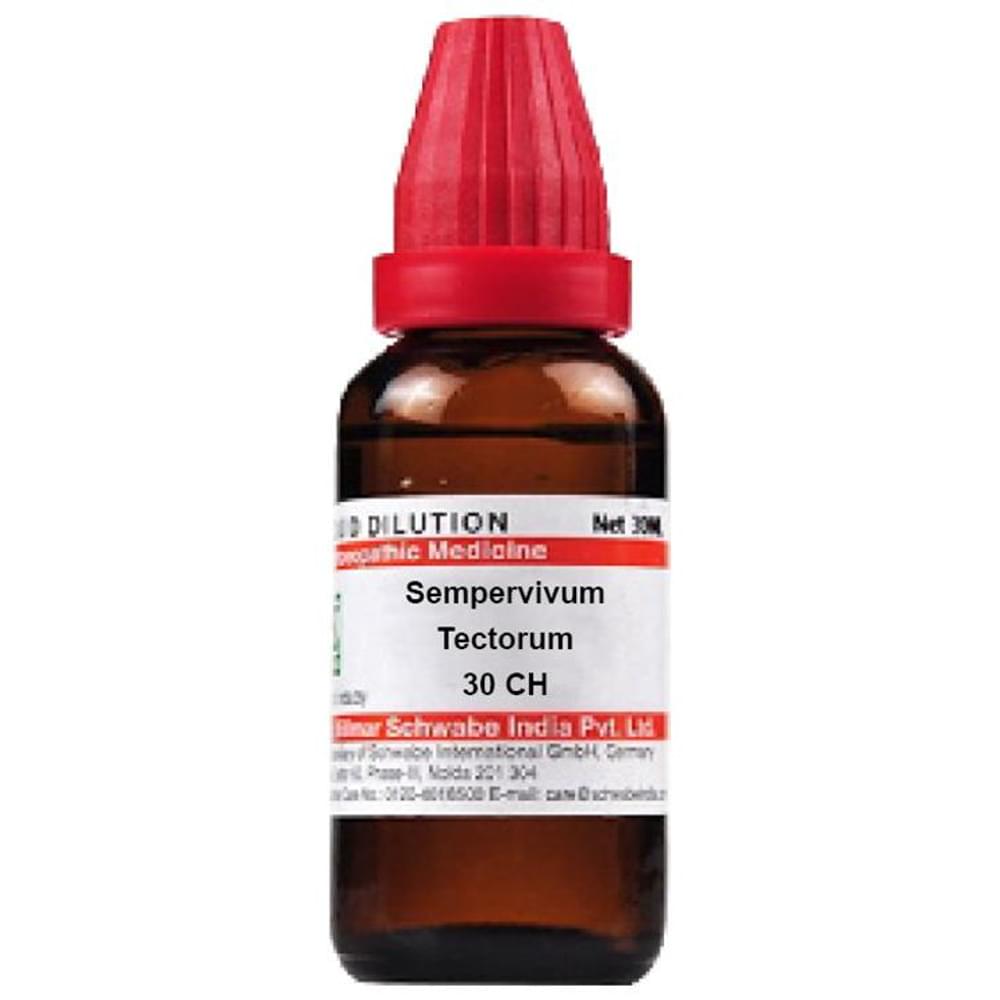 Dr Willmar Schwabe India Sempervivum Tectorum Dilution 30 CH bottle of 30 ml Dilution Dr Willmar Schwabe India Sempervivum Tectorum Dilution 30 CH bottle of 30 ml Dilution