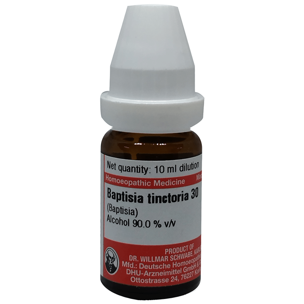 Dr Willmar Schwabe Germany Baptisia Tinctoria Dilution 30 bottle of 10 ml Dilution