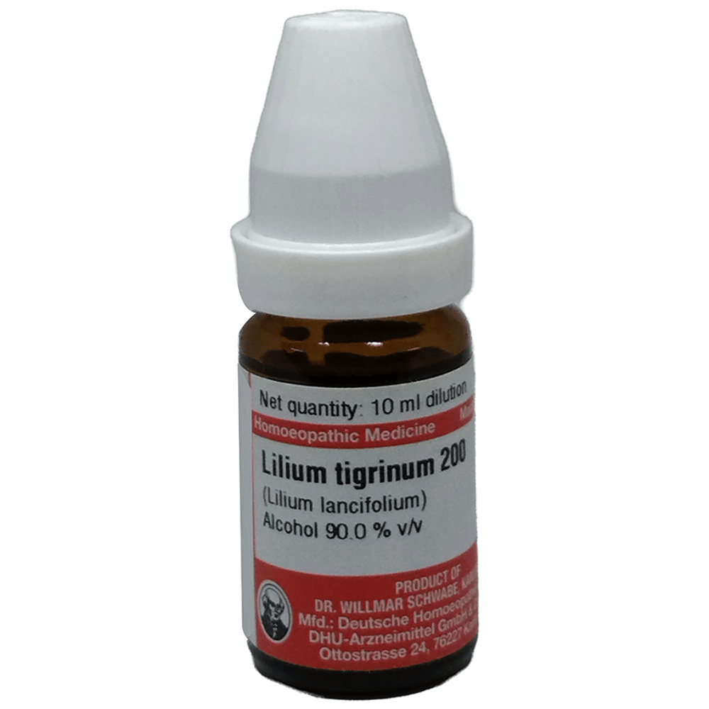 Dr Willmar Schwabe Germany Lilium Tigrinum (Lilium Lancifolium) Dilution 200 bottle of 10 ml Dilution
