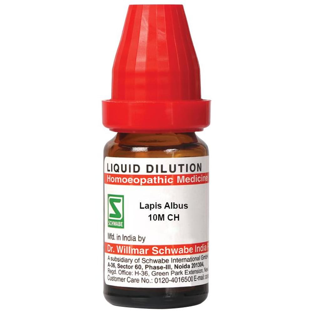 Dr Willmar Schwabe India Lapis Albus Dilution 10M CH bottle of 10 ml Dilution