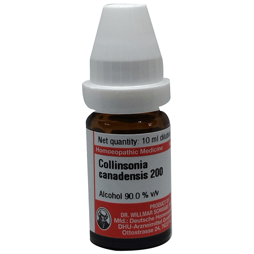 Dr Willmar Schwabe Germany Collinsonia Canadensis Dilution 200 bottle of 10 ml Dilution