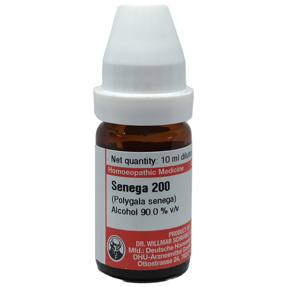 Dr Willmar Schwabe Germany Senega (Polygala Senega) Dilution 200 bottle of 10 ml Dilution