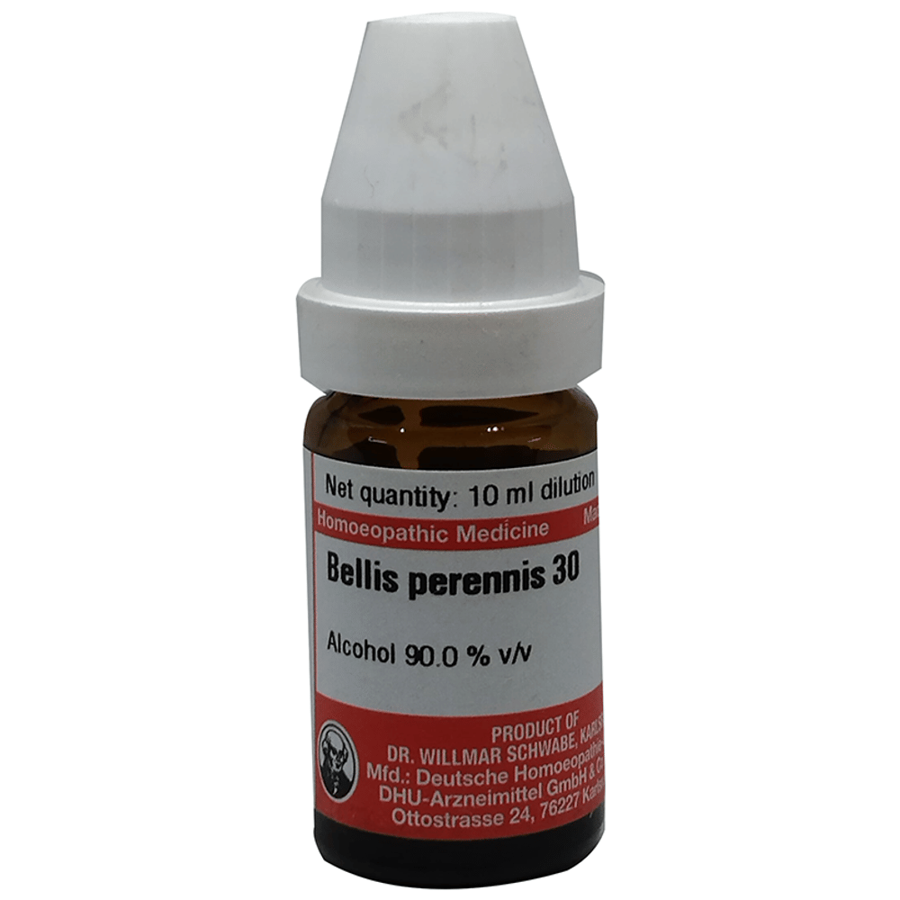 Dr Willmar Schwabe Germany Bellis Perennis Dilution 30 bottle of 10 ml Dilution Dr Willmar Schwabe Germany Bellis Perennis Dilution 30 bottle of 10 ml Dilution