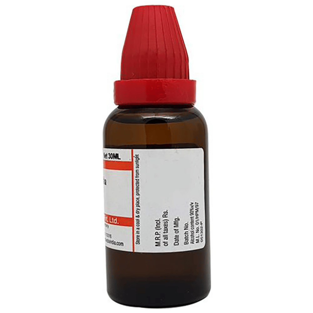 Dr Willmar Schwabe India Rhus Toxicodendron Dilution 200 CH bottle of 30 ml Dilution