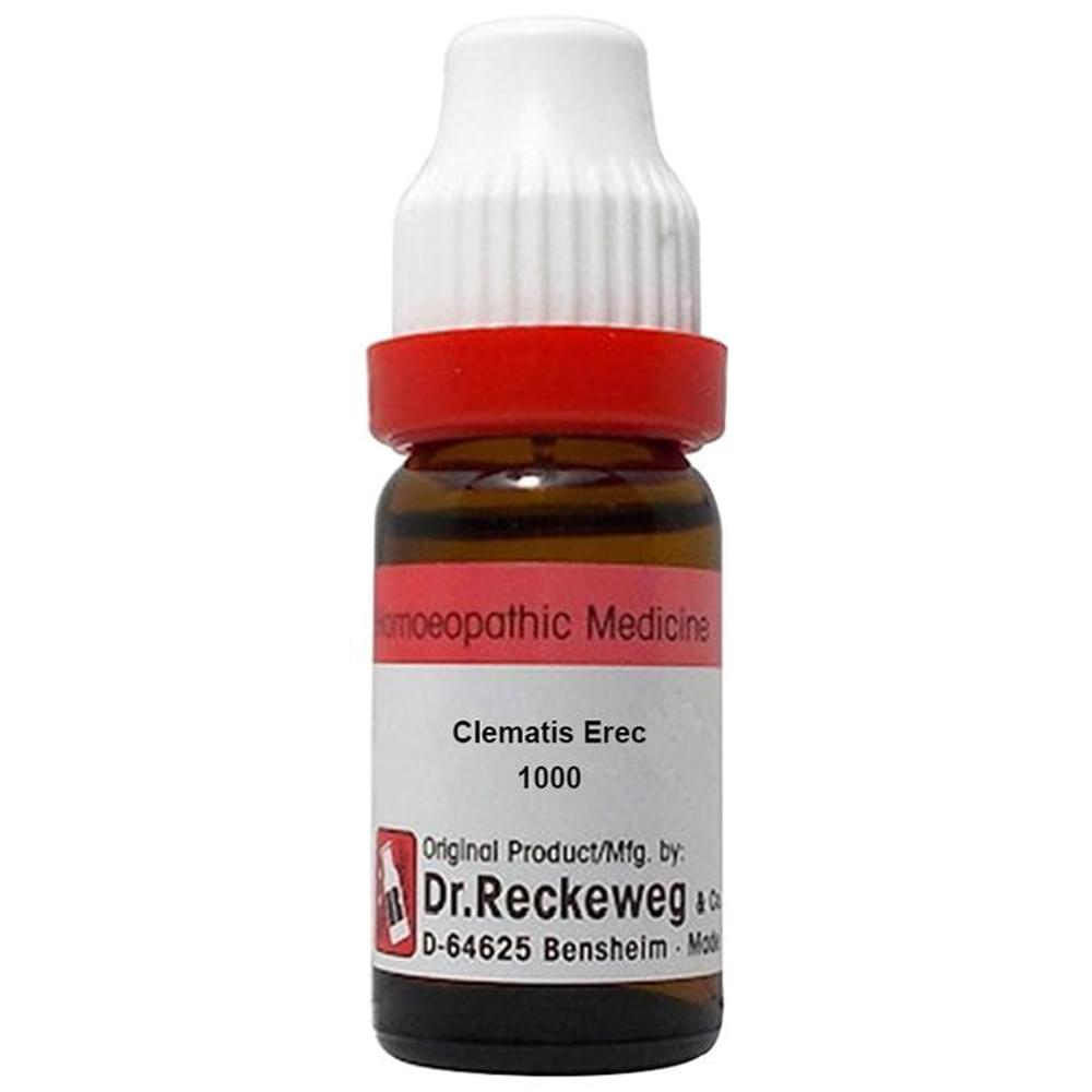 Dr. Reckeweg Clematis Erec Dilution 1000 CH bottle of 11 ml Dilution