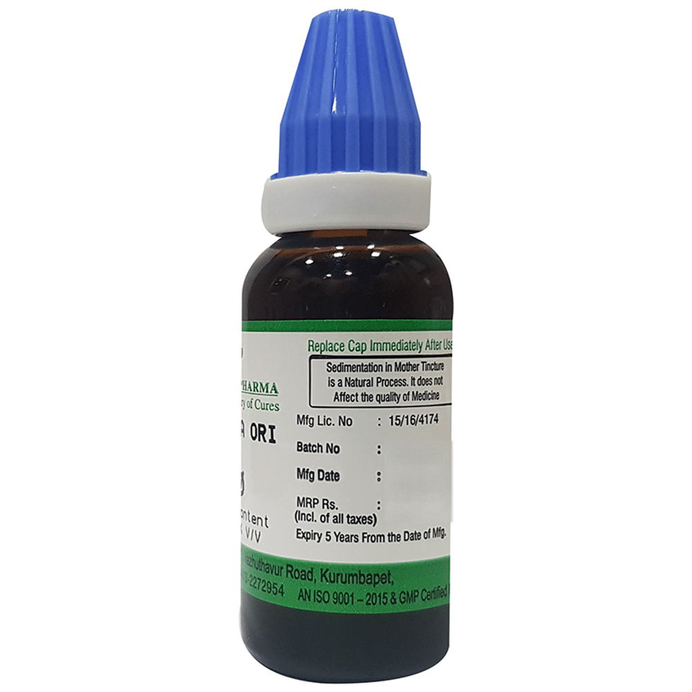 Hering Pharma Blatta Ori Mother Tincture Q bottle of 30 ml Mother Tincture