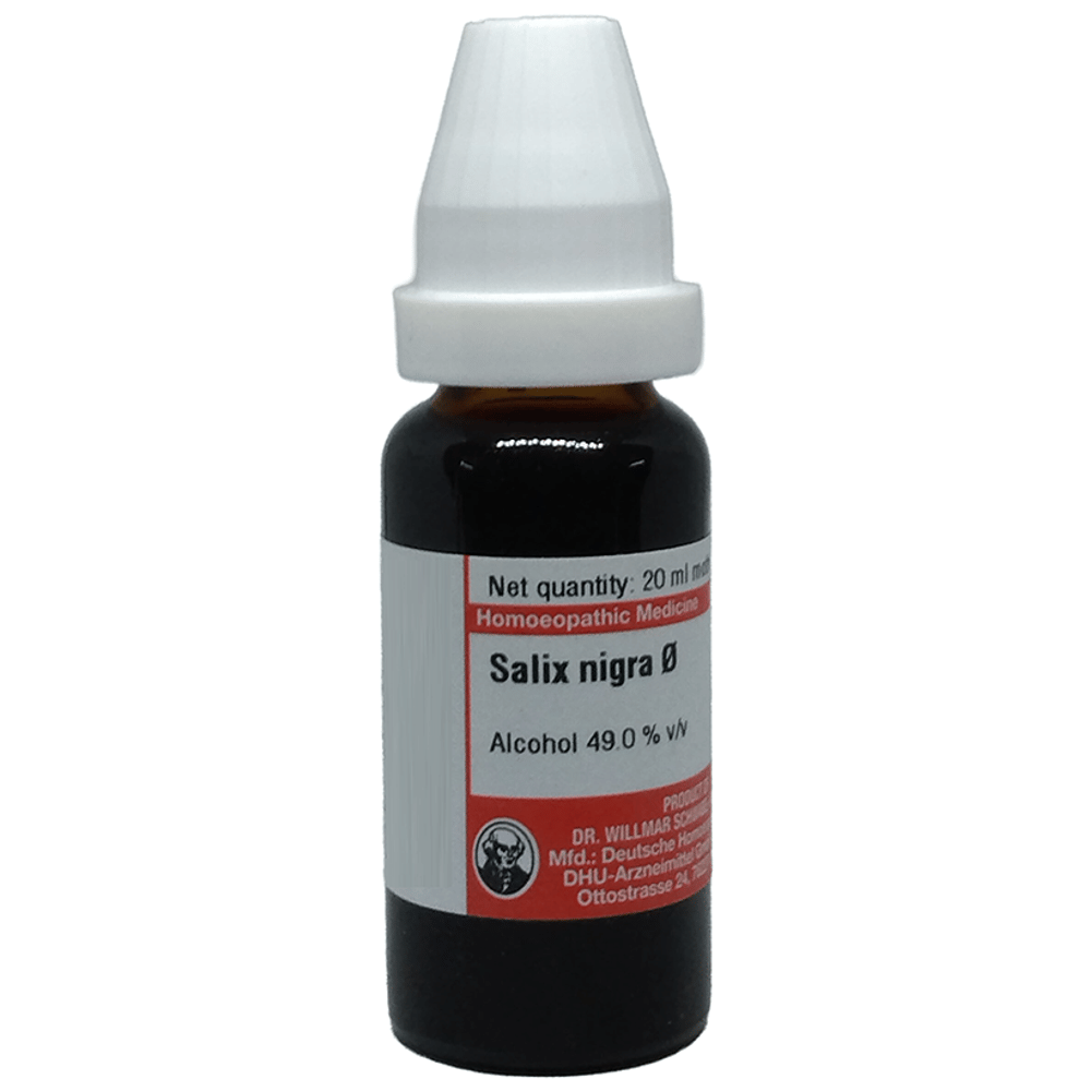 Dr Willmar Schwabe Germany Salix Nigra Mother Tincture Q bottle of 20 ml Mother Tincture