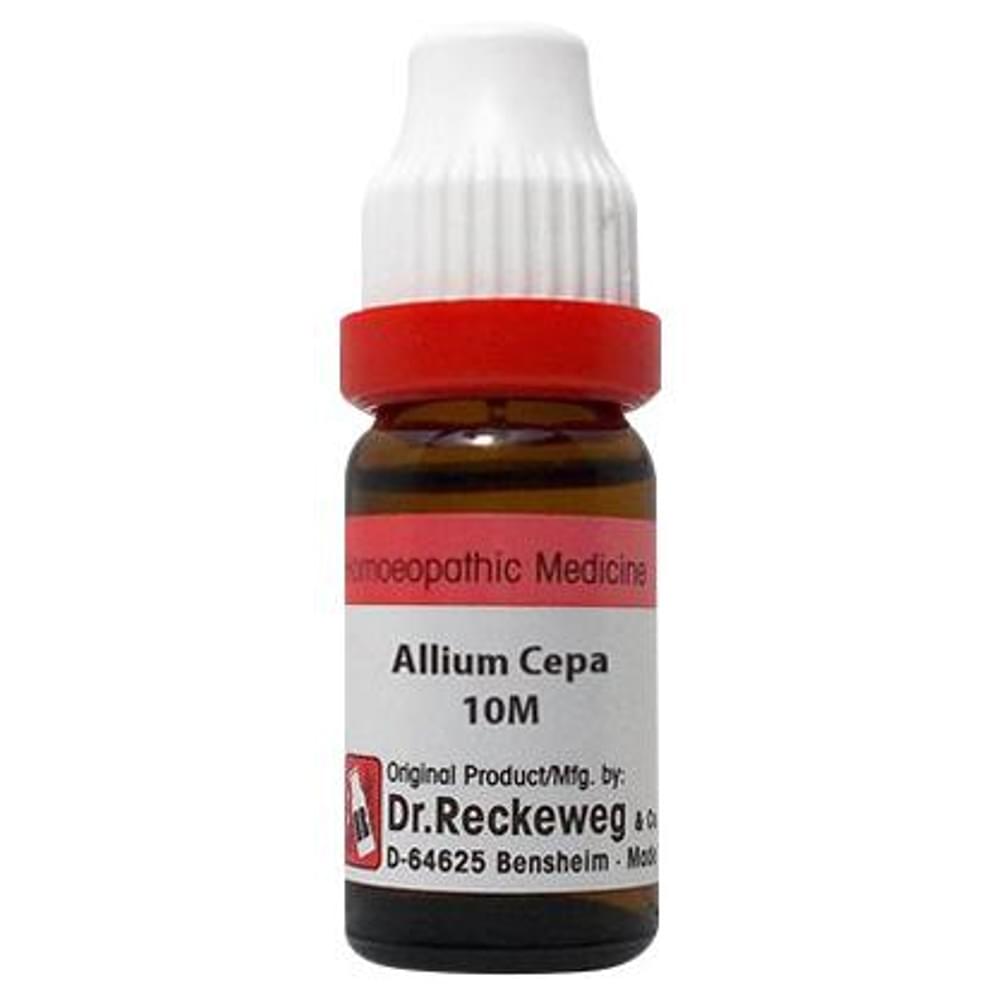 Dr. Reckeweg Allium Cepa Dilution 10M CH bottle of 11 ml Dilution