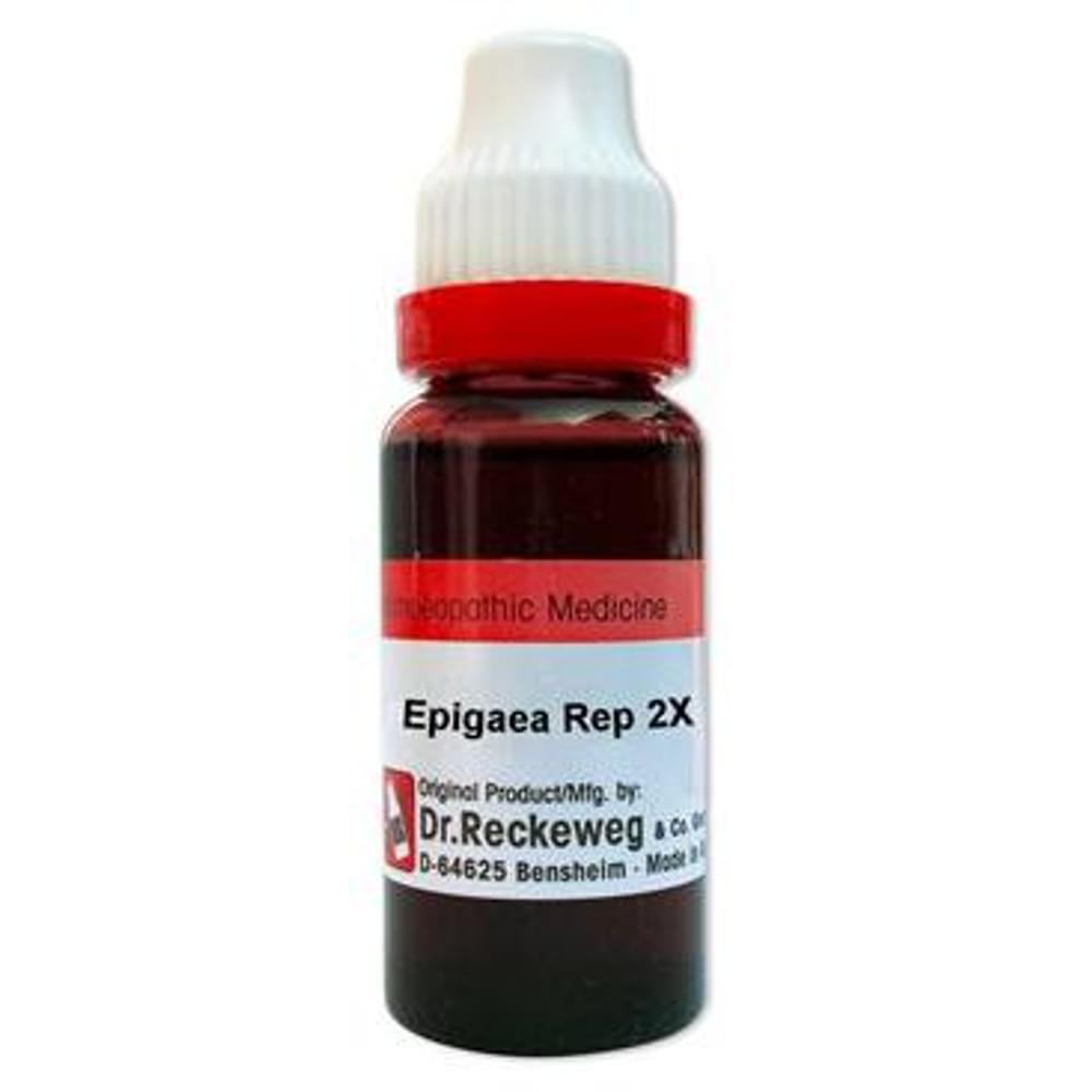 Dr. Reckeweg Epigaea 2X Mother Tincture Q bottle of 20 ml Mother Tincture