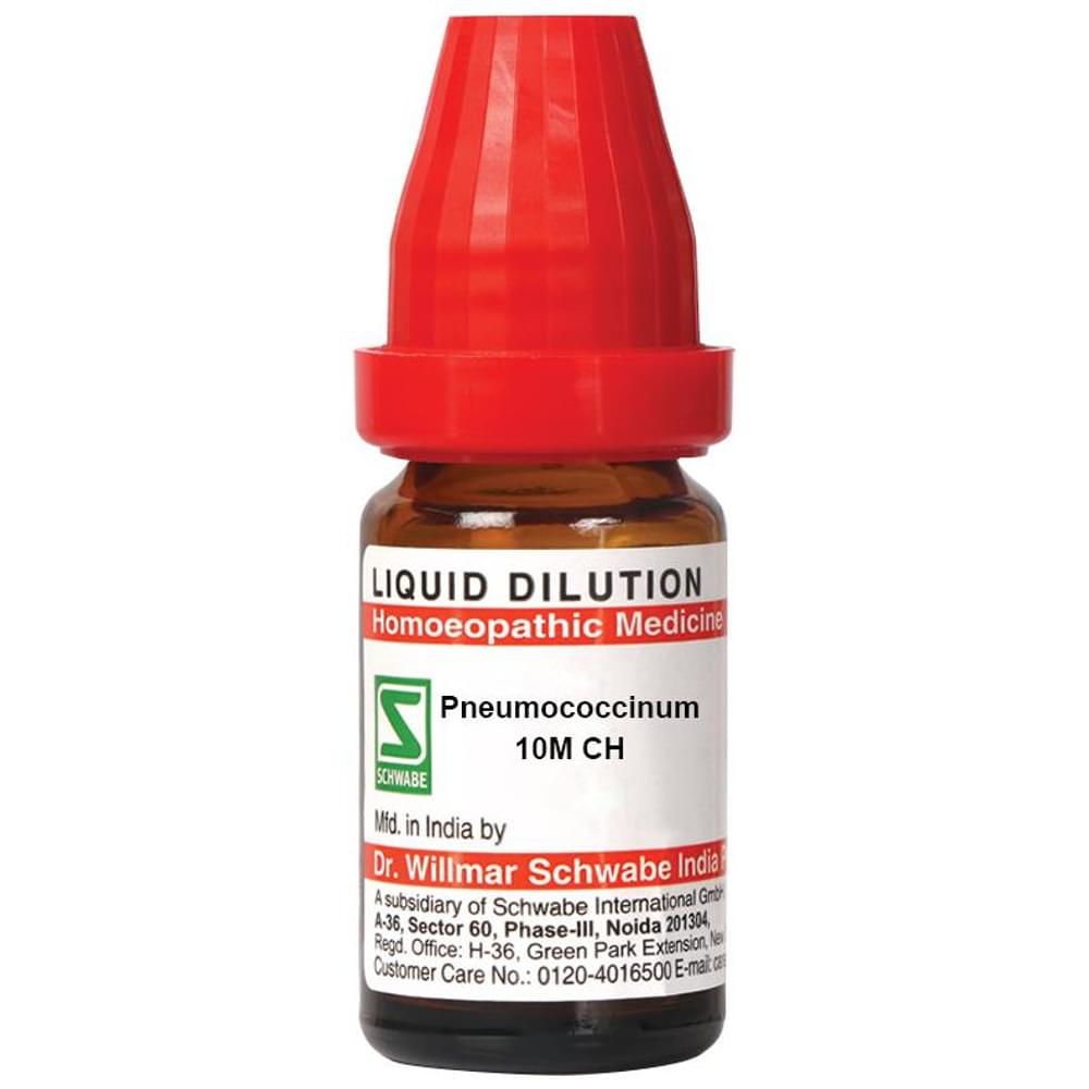 Dr Willmar Schwabe India Pneumococcinum Dilution 10M CH bottle of 10 ml Dilution