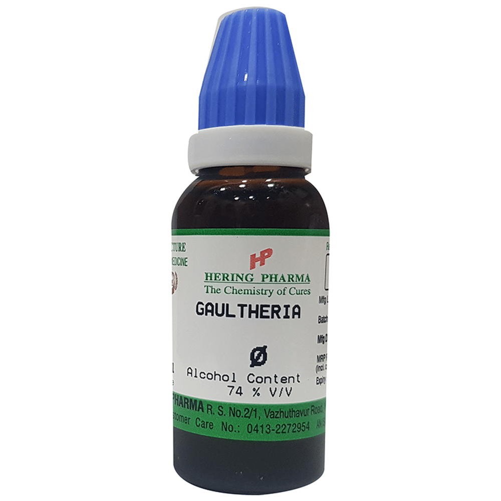 Hering Pharma Gaultheria Mother Tincture Q bottle of 30 ml Mother Tincture
