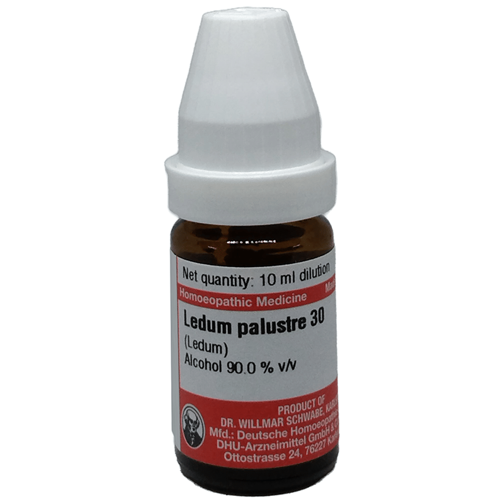 Dr Willmar Schwabe Germany Ledum Palustre Dilution 30 bottle of 10 ml Dilution