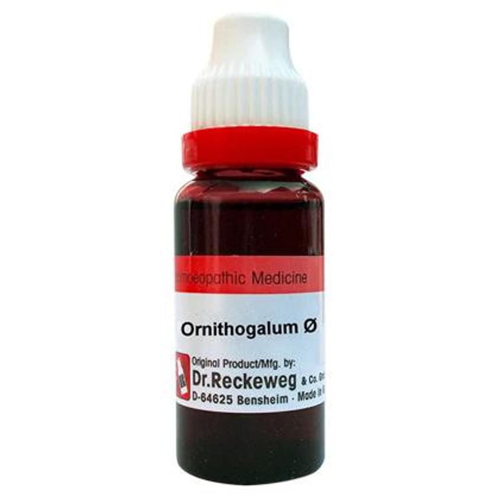 Dr. Reckeweg Ornithogalum Mother Tincture Q bottle of 20 ml Mother Tincture Dr. Reckeweg Ornithogalum Mother Tincture Q bottle of 20 ml Mother Tincture