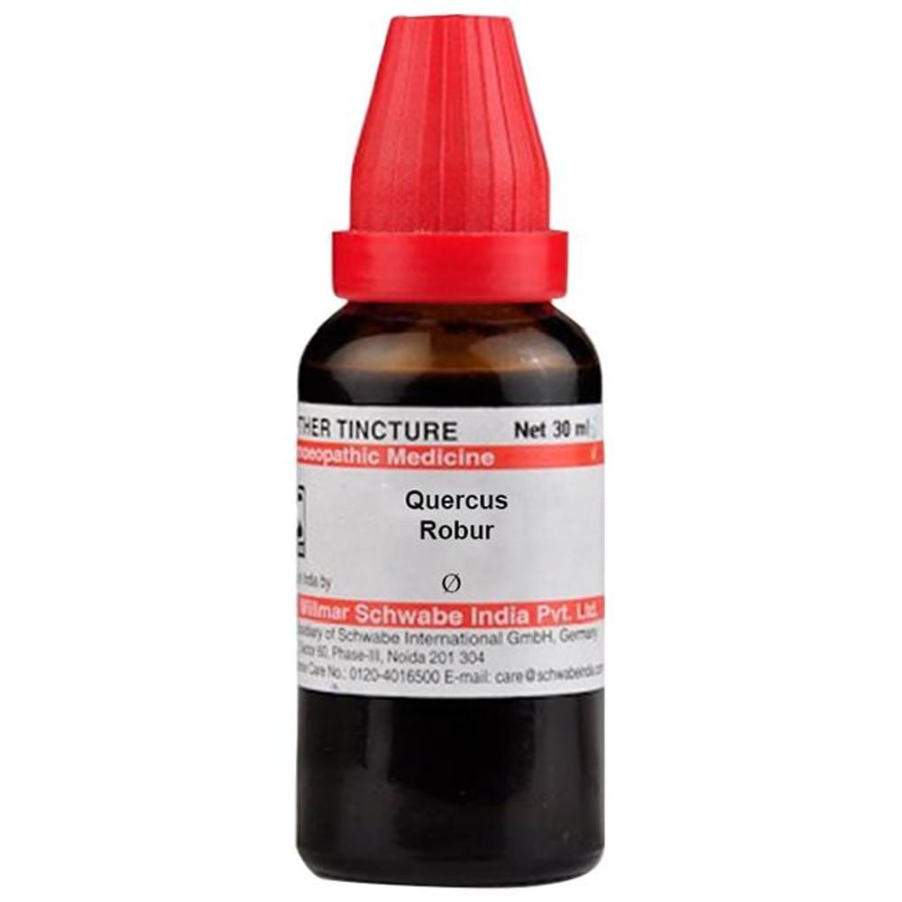 Dr Willmar Schwabe India Quercus Robur Mother Tincture Q bottle of 30 ml Mother Tincture Dr Willmar Schwabe India Quercus Robur Mother Tincture Q bottle of 30 ml Mother Tincture
