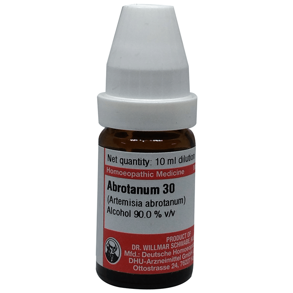Dr Willmar Schwabe Germany Abrotanum Dilution 30 bottle of 10 ml Dilution