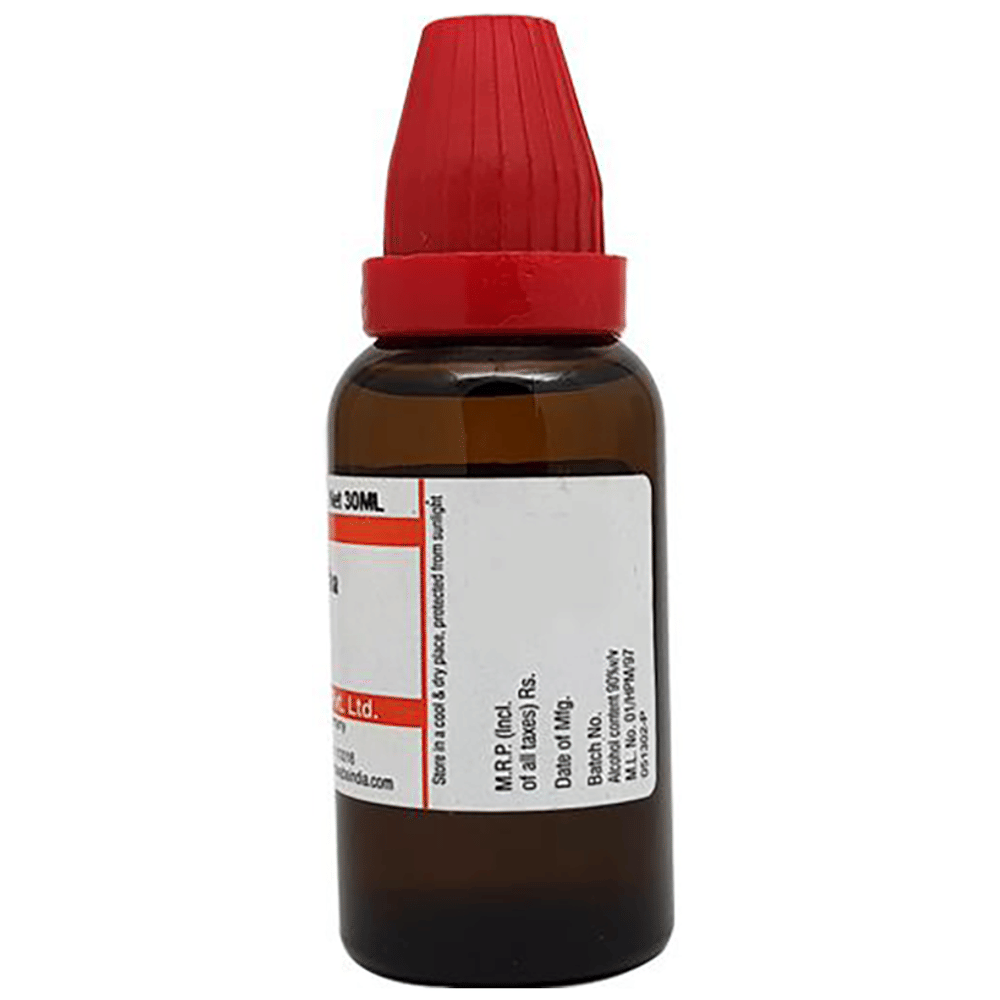 Dr Willmar Schwabe India Arsenicum Album Dilution 200 CH bottle of 30 ml Dilution Dr Willmar Schwabe India Arsenicum Album Dilution 200 CH bottle of 30 ml Dilution